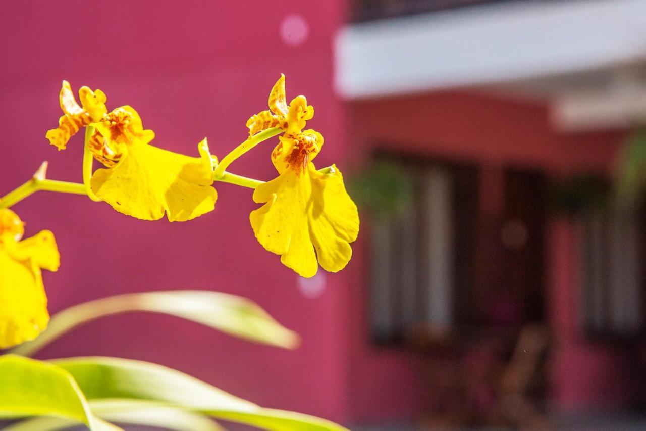 Suites Las Flores マレシアス エクステリア 写真